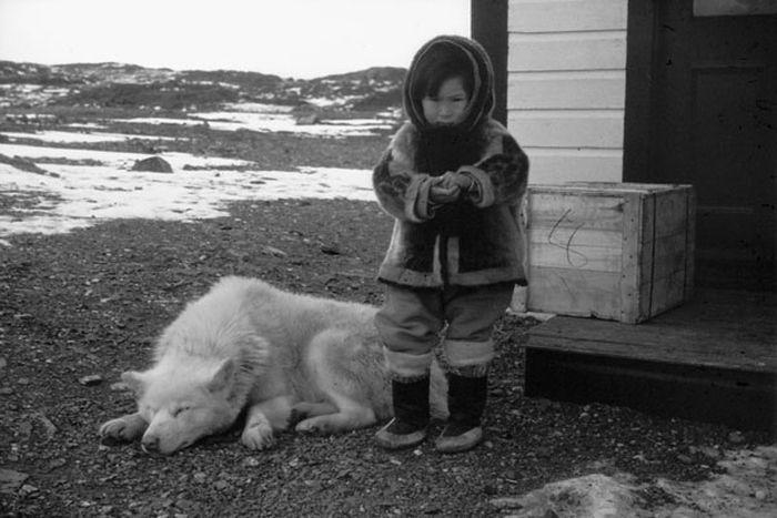 Inuit child and dog