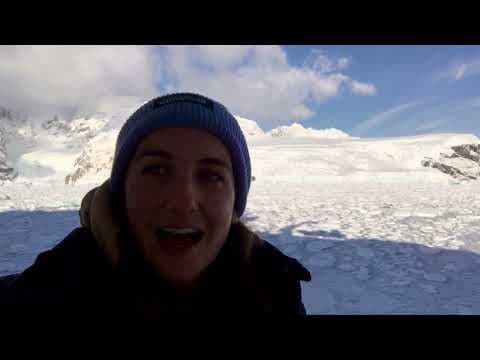 Delphine in Antarctica