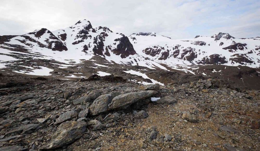 Shackleton (7)