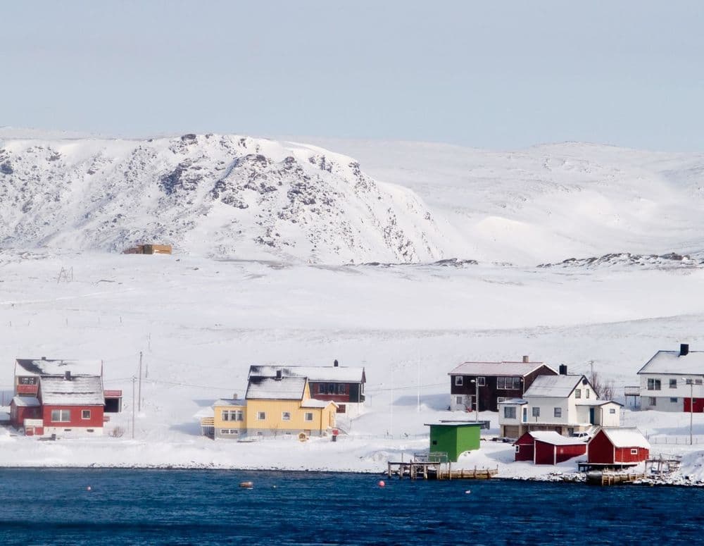 arctic (3)
