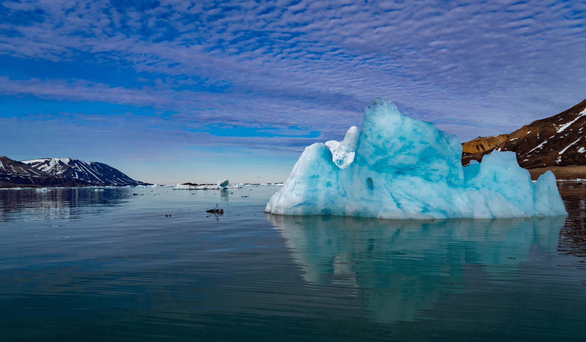 What to do in Svalbard: 14 fun and fabulous activities