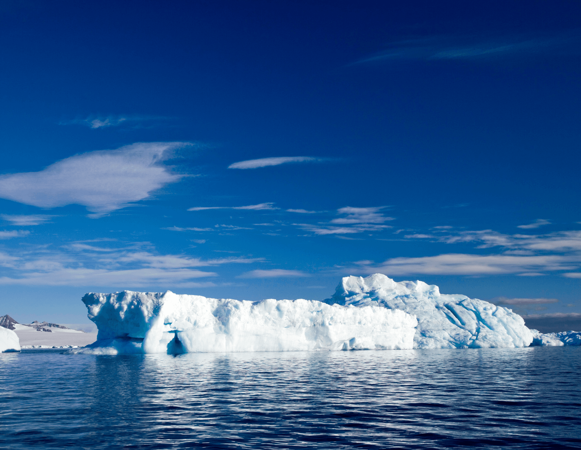 Everything you can see in Antarctica during the Polar Summer and when to see it
