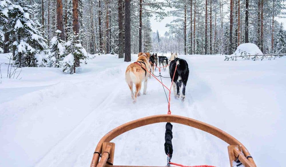 Blog pictures - 1800 x 1050 (1)