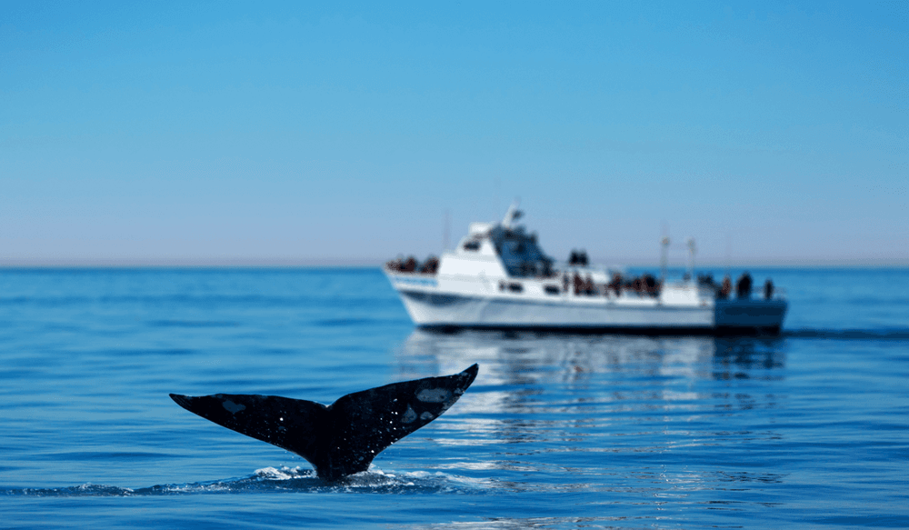 Blog pictures - 1800 x 1050-1