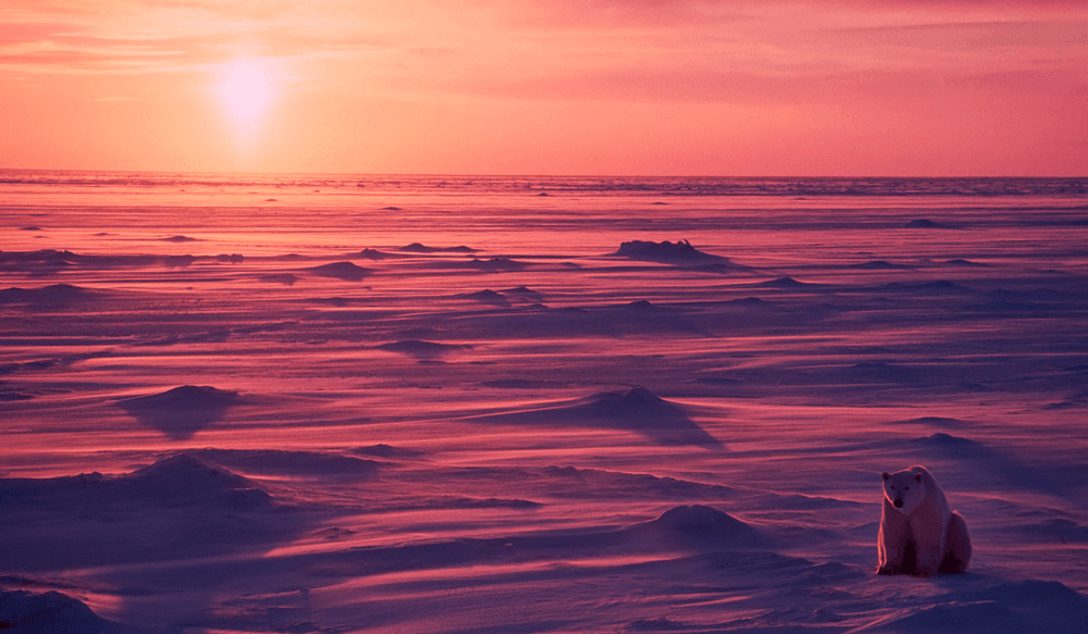 Blog pictures - 1800 x 1050 (2)-Oct-16-2024-08-21-35-5367-AM