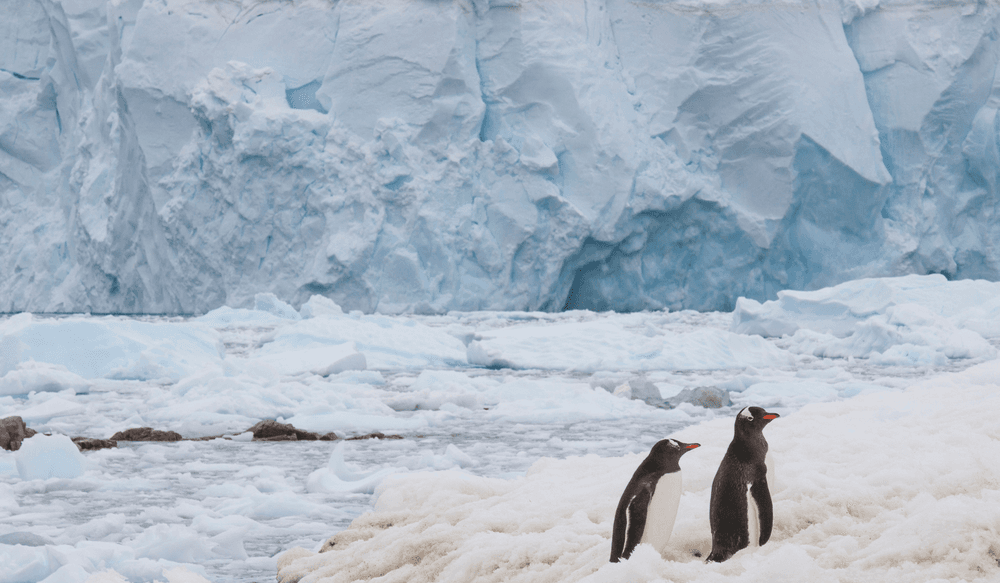 Blog pictures - 1800 x 1050 (4)-Oct-16-2024-09-02-54-2157-AM