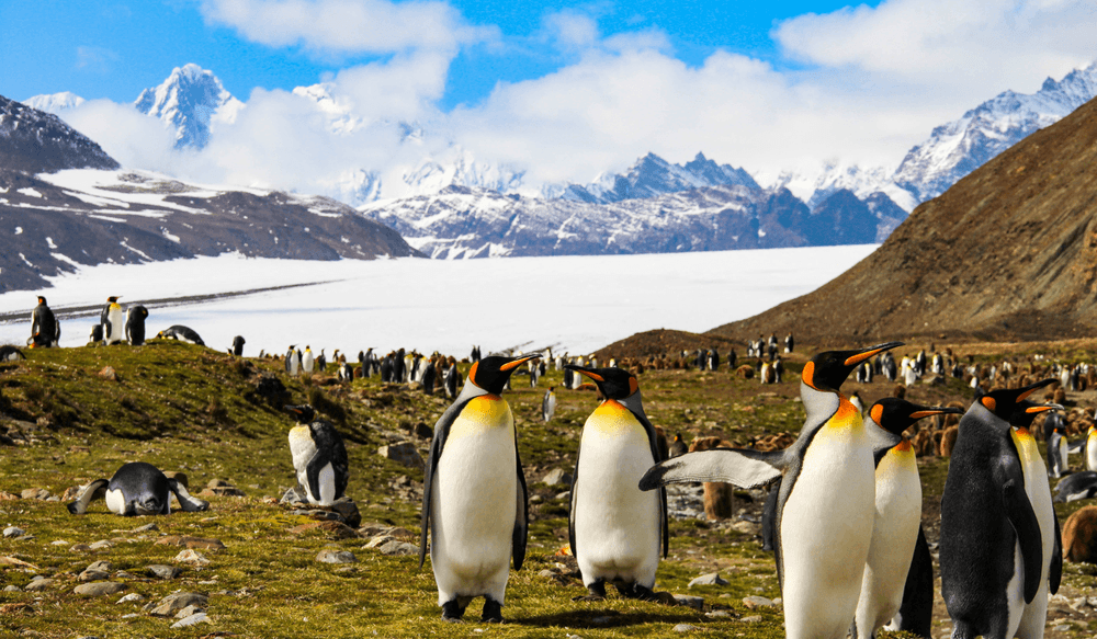 Blog pictures - 1800 x 1050 (5)-Oct-16-2024-09-07-39-8182-AM