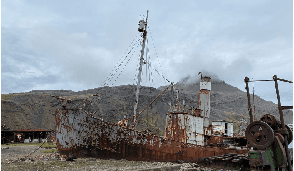 Blog pictures - 1800 x 1050-Nov-15-2024-01-38-35-4395-PM