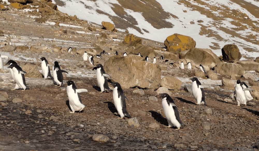 Blog pictures - 1800 x 1050 (1)-May-05-2025-12-53-33-2075-PM