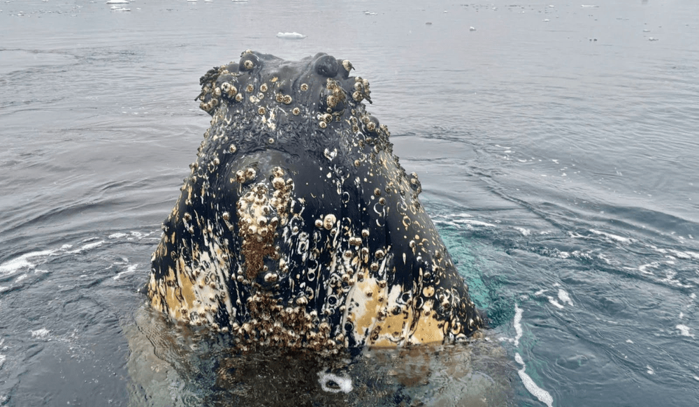 Blog pictures - 1800 x 1050 (6)-May-05-2025-02-23-37-0274-PM