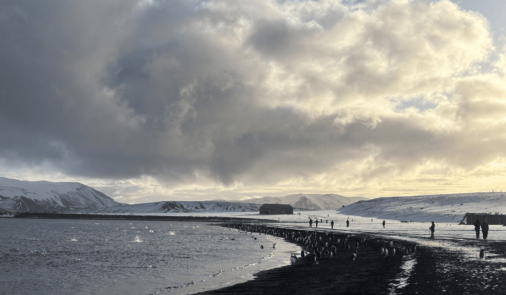 Blog pictures - 1800 x 1050 (7)-May-05-2025-02-30-48-9596-PM