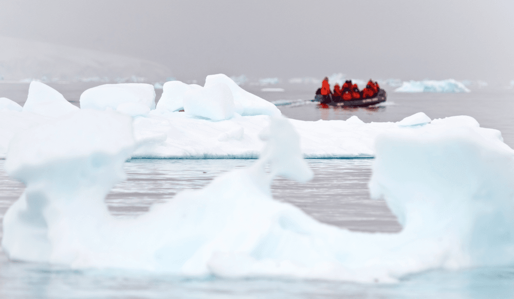 Zodiac excursion in Antarctica