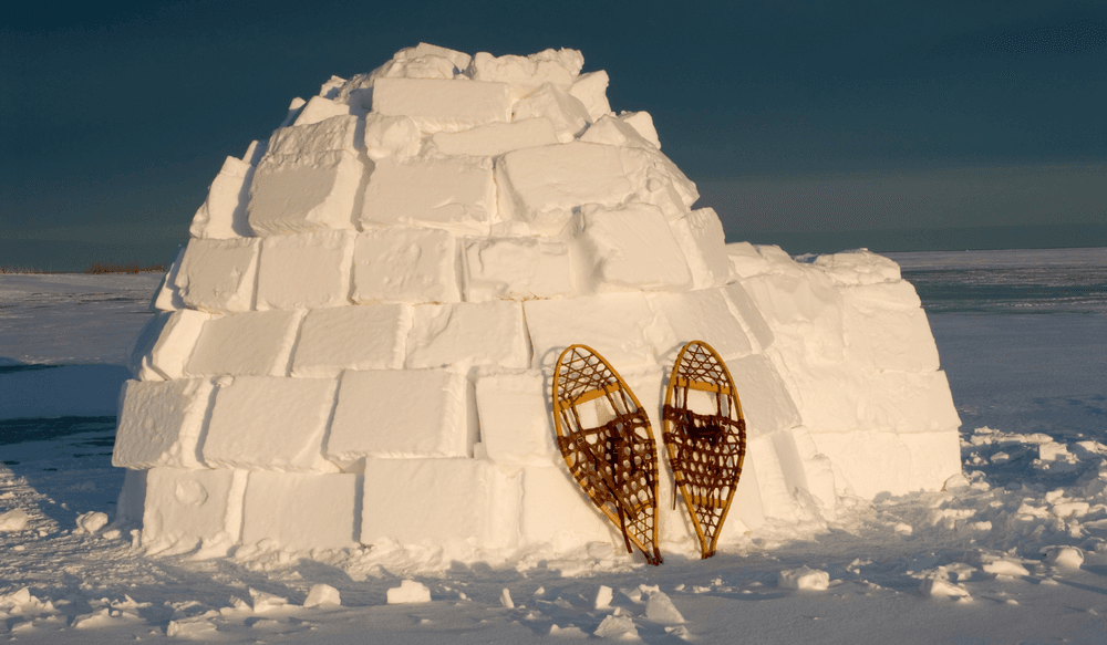 Snowshoes in the Artic