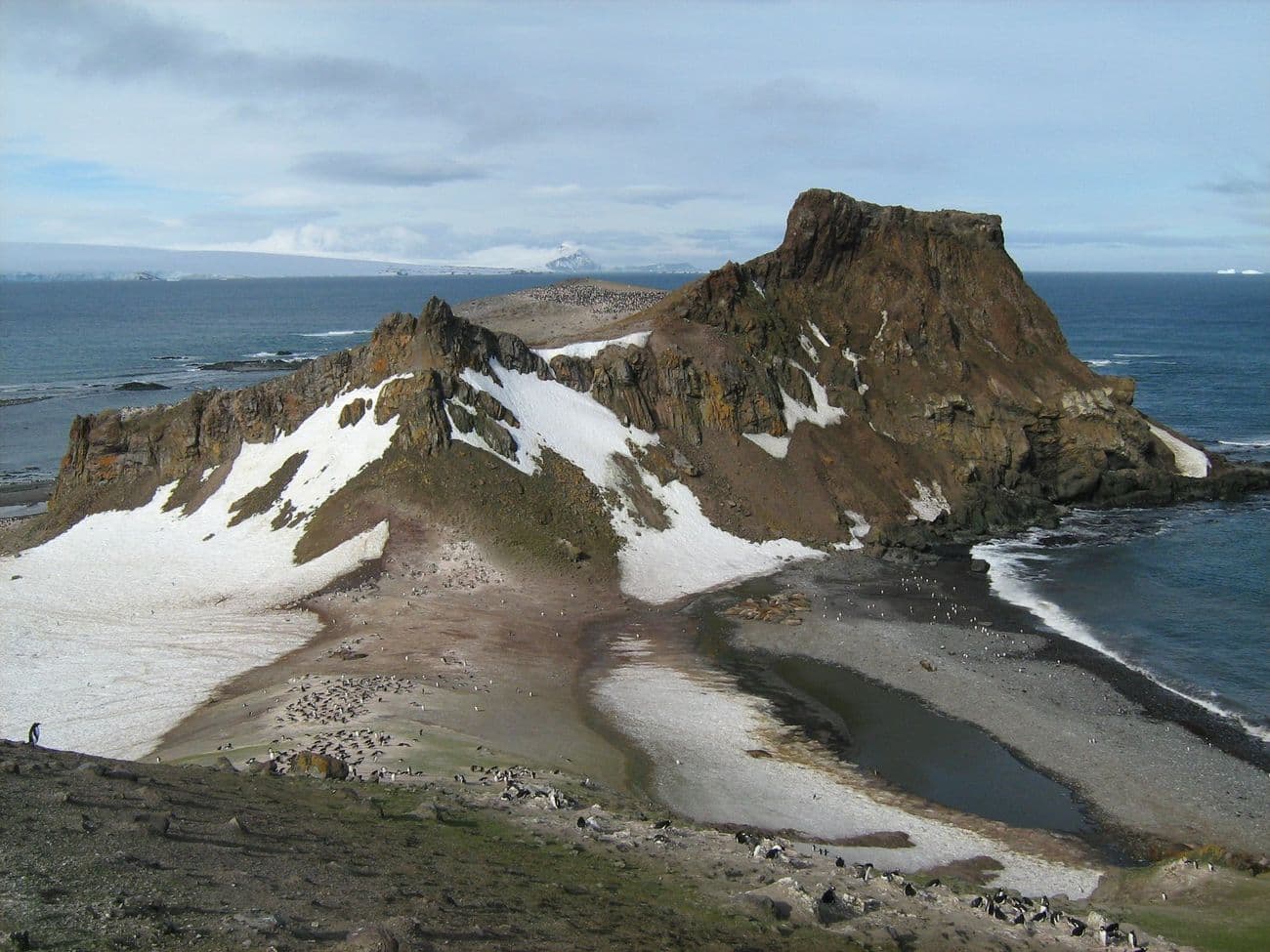 King George Island 