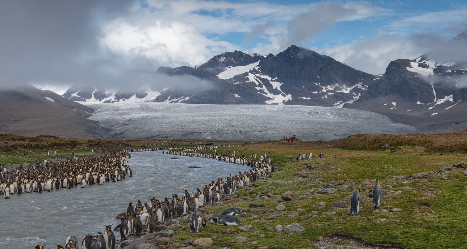 Seaventure South Georgia