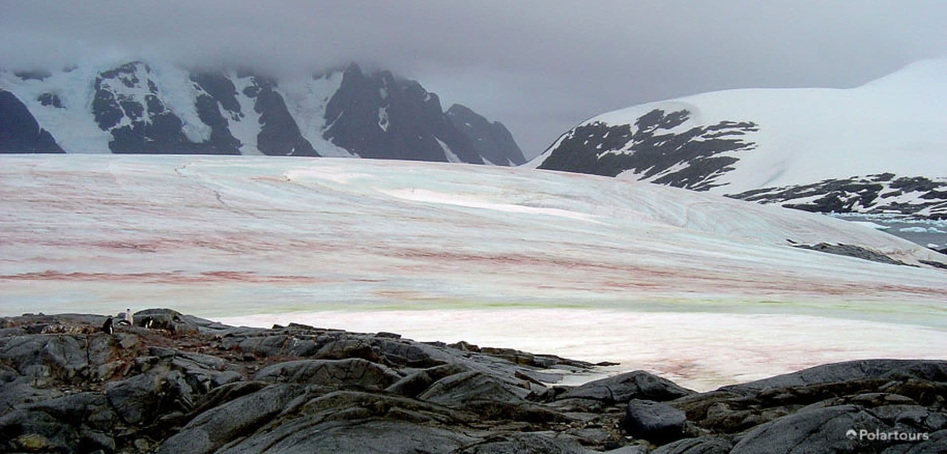 Antarctica Visitor Site- Pleneau Island