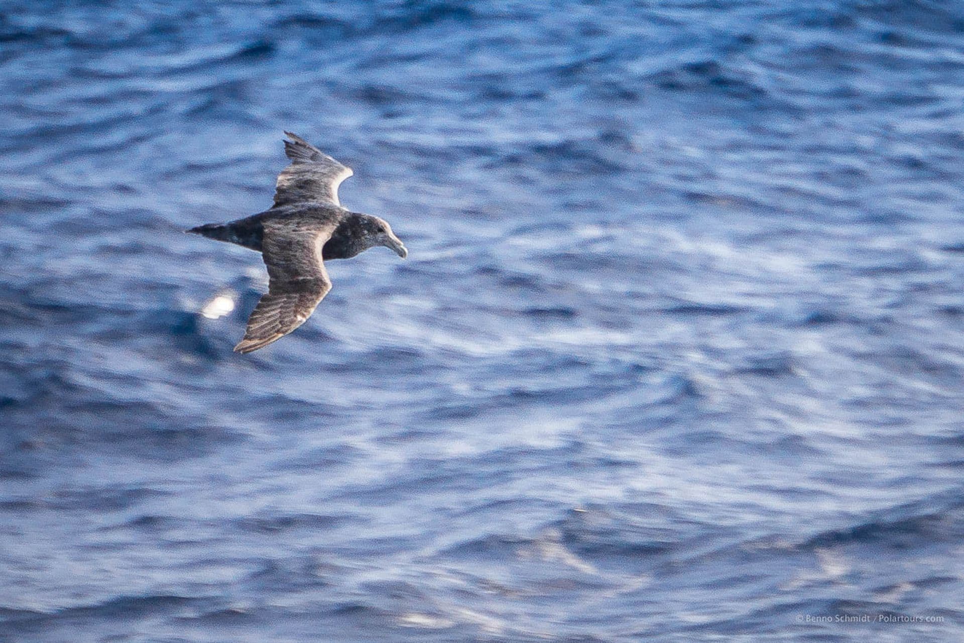 Drake Passage