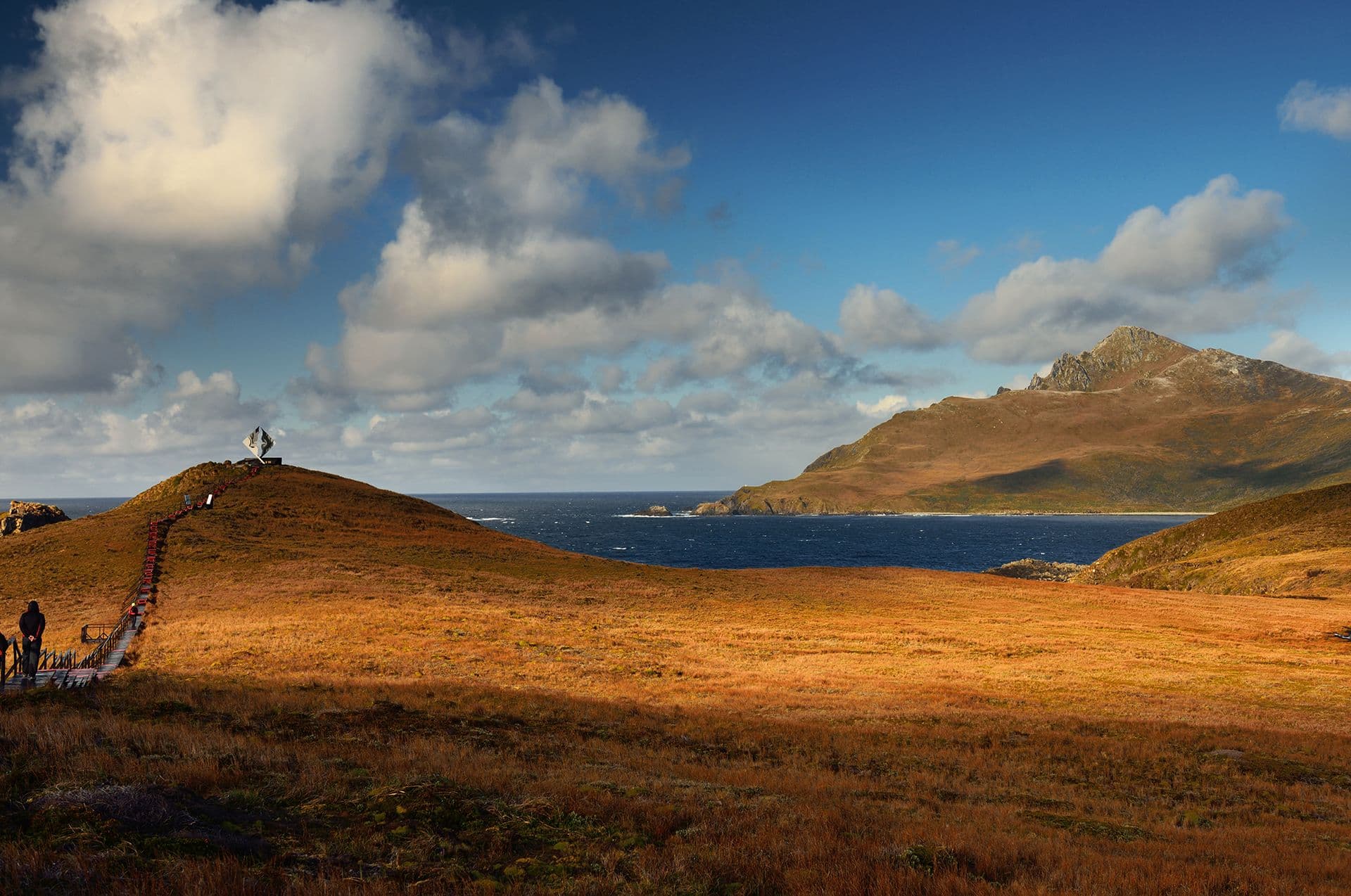 cape horn australis