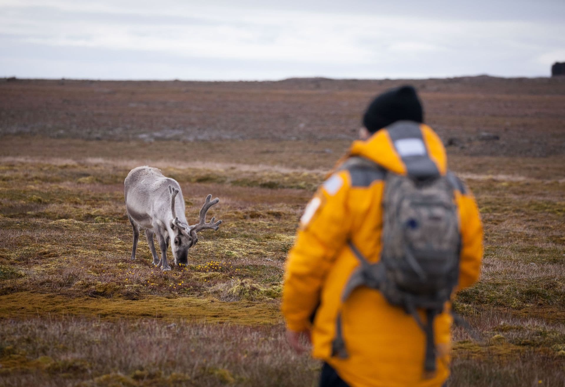 QuarkExpeditions_Spitsbergen in Depth Arctic