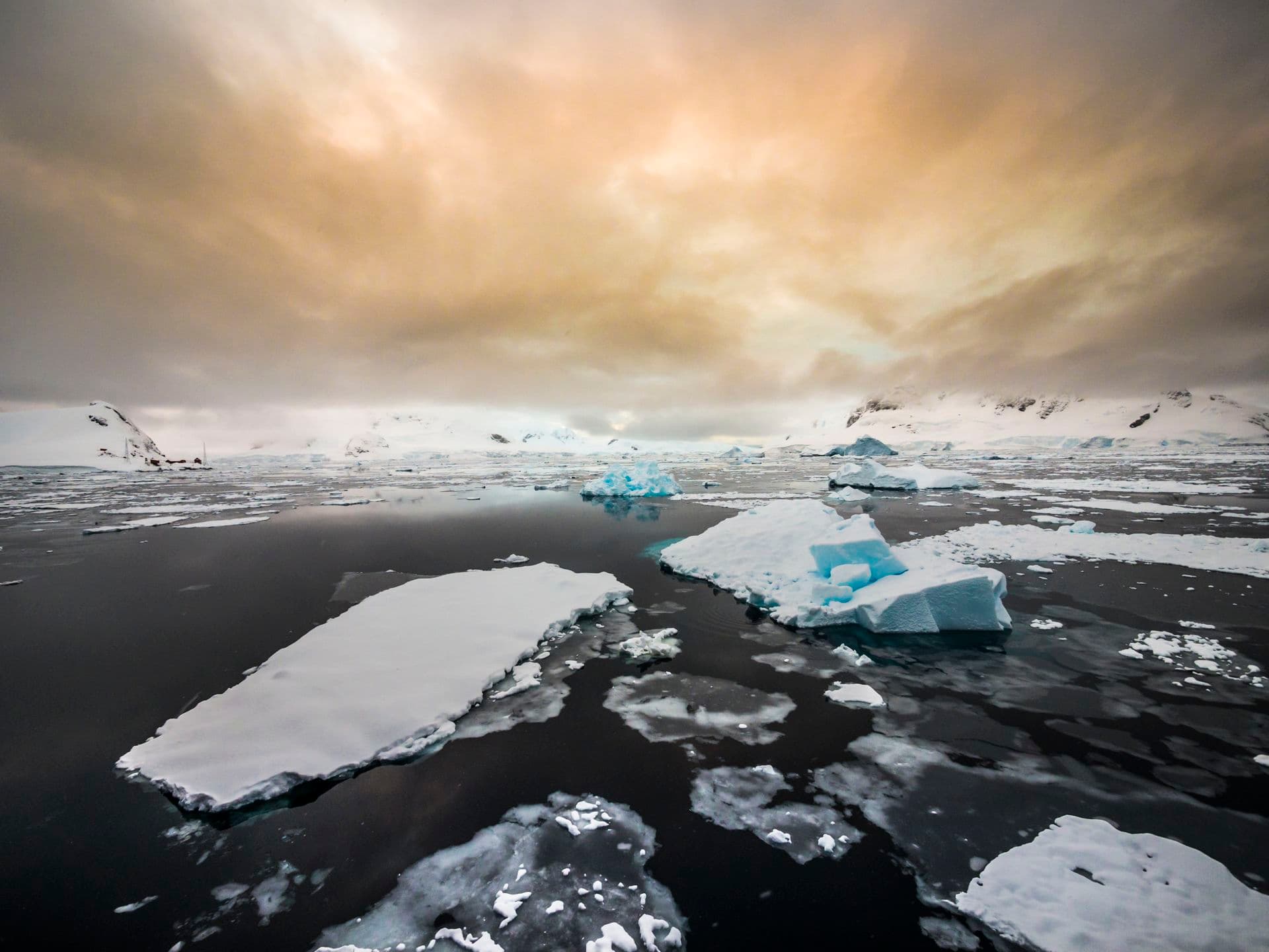 Oceanwide Expeditions Antarctica Basecamp
