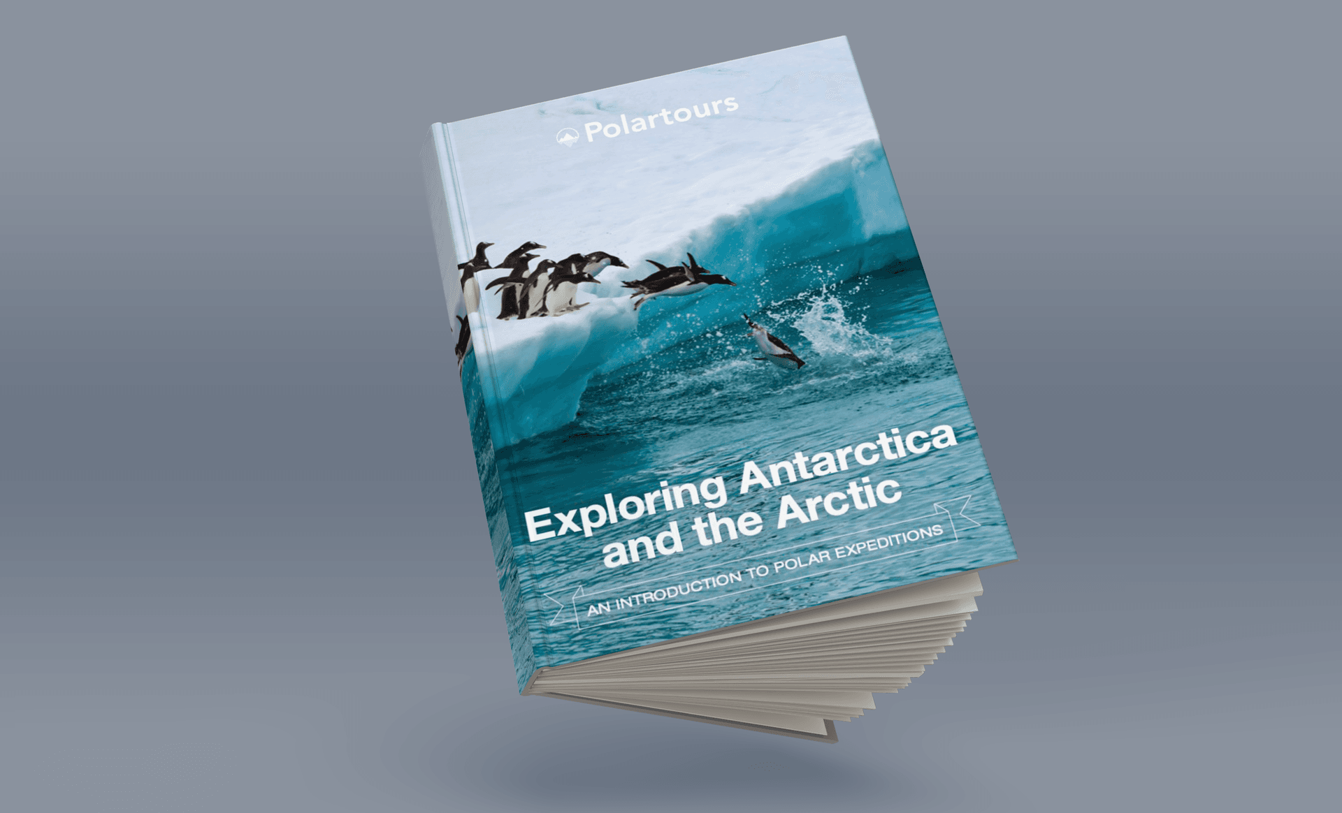 POL Guidebook eBook