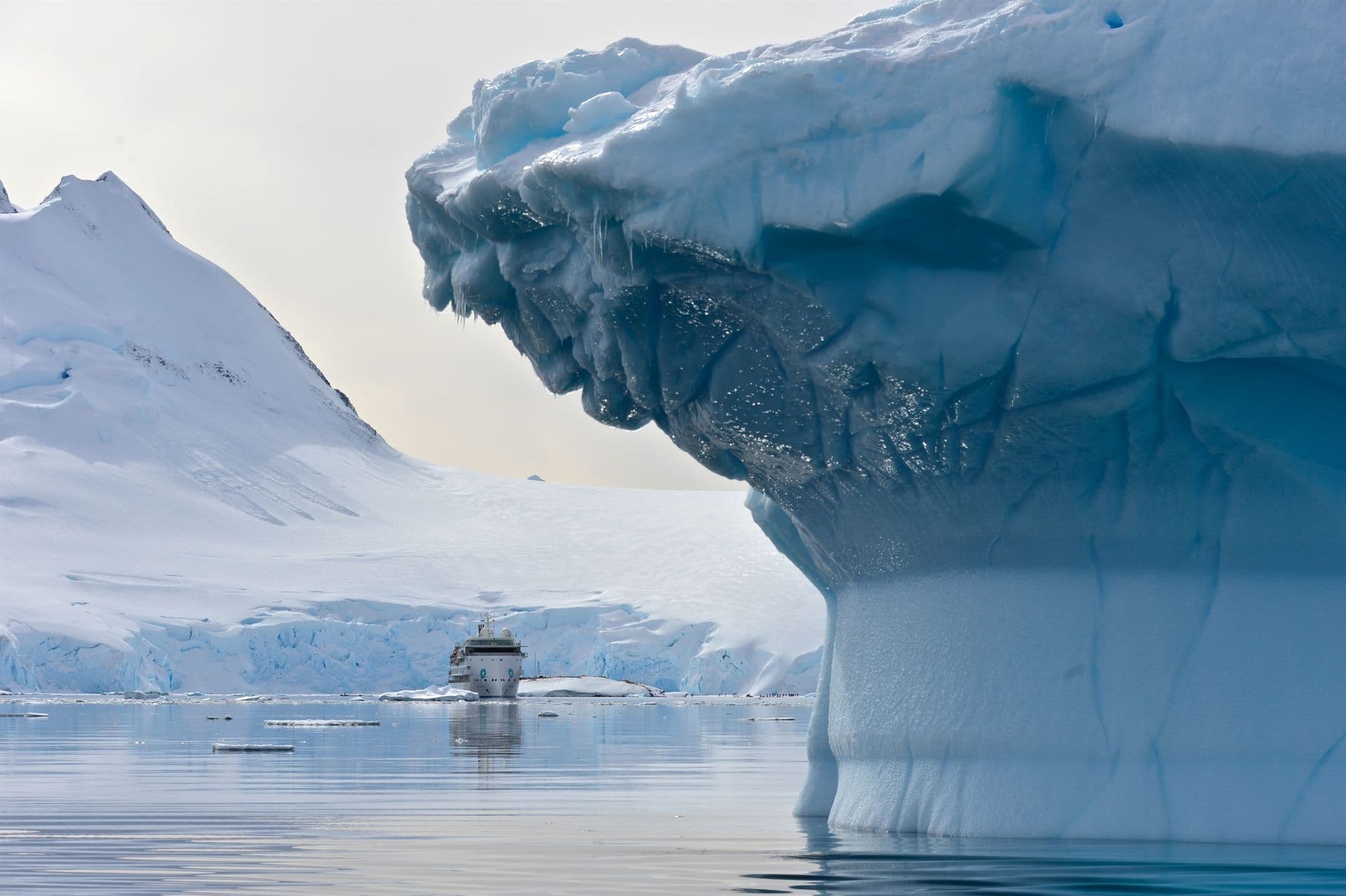 Greg Mortimer Antarctica