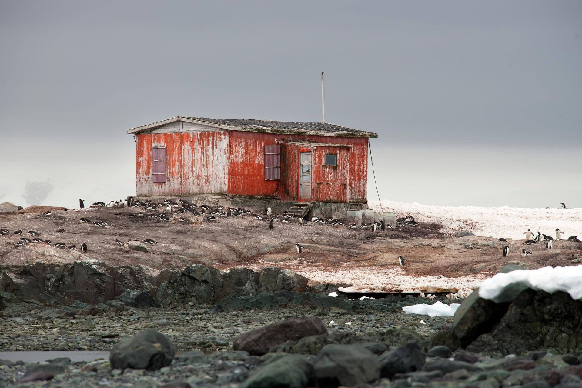peterman island