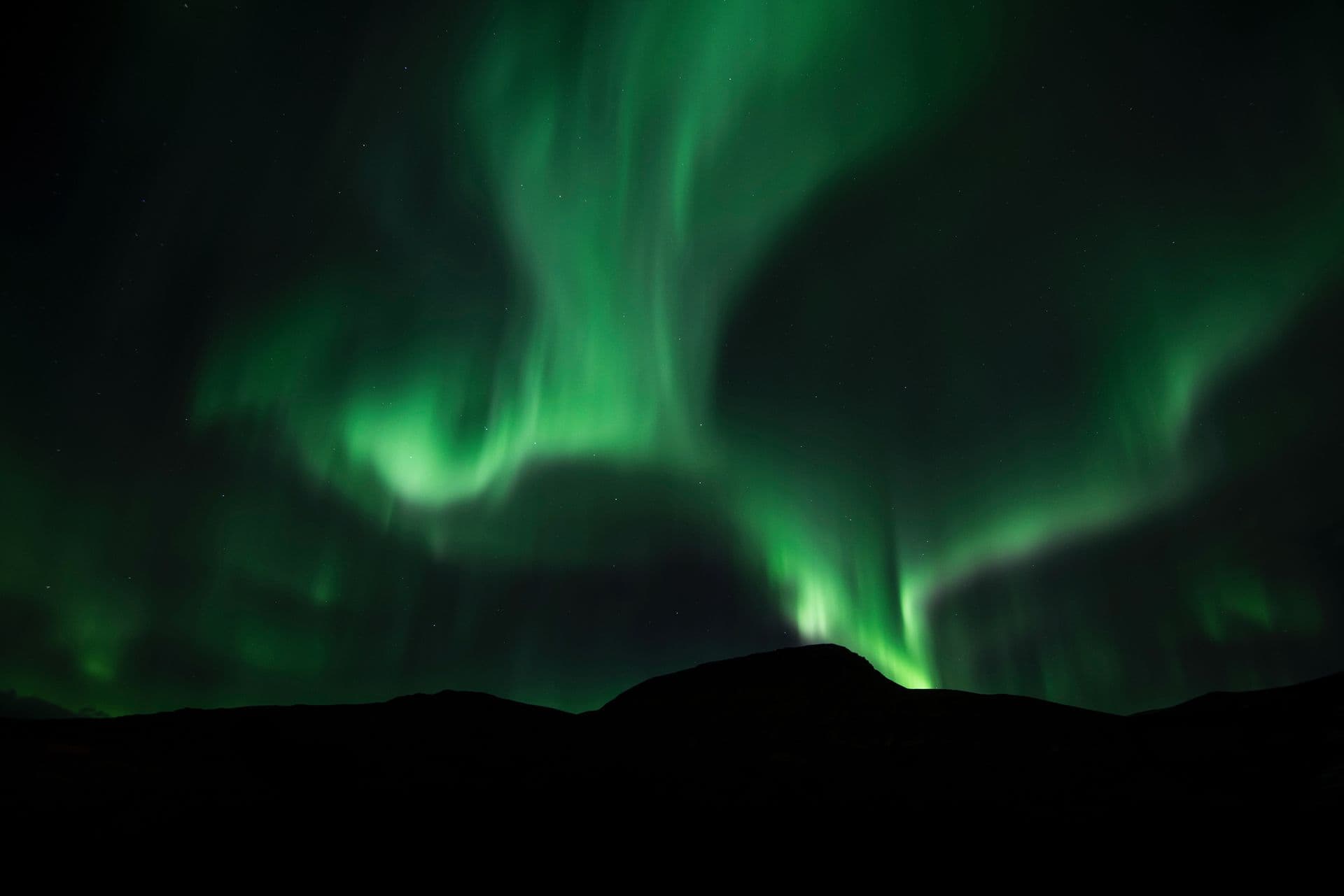 Albatros Expedition Northern Light Adventure