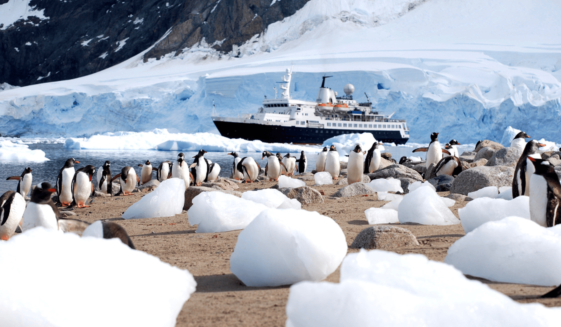 An Antarctic cruise ship