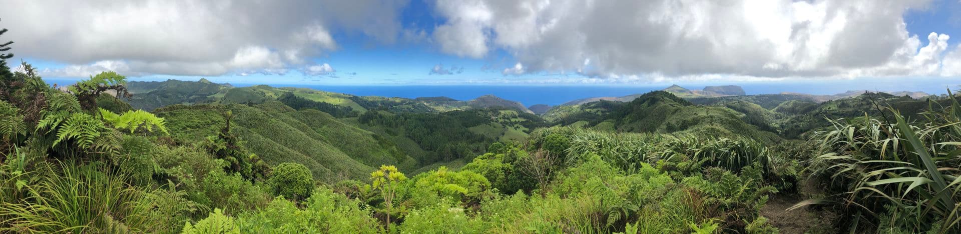 Diana's Peak on Saint Helena