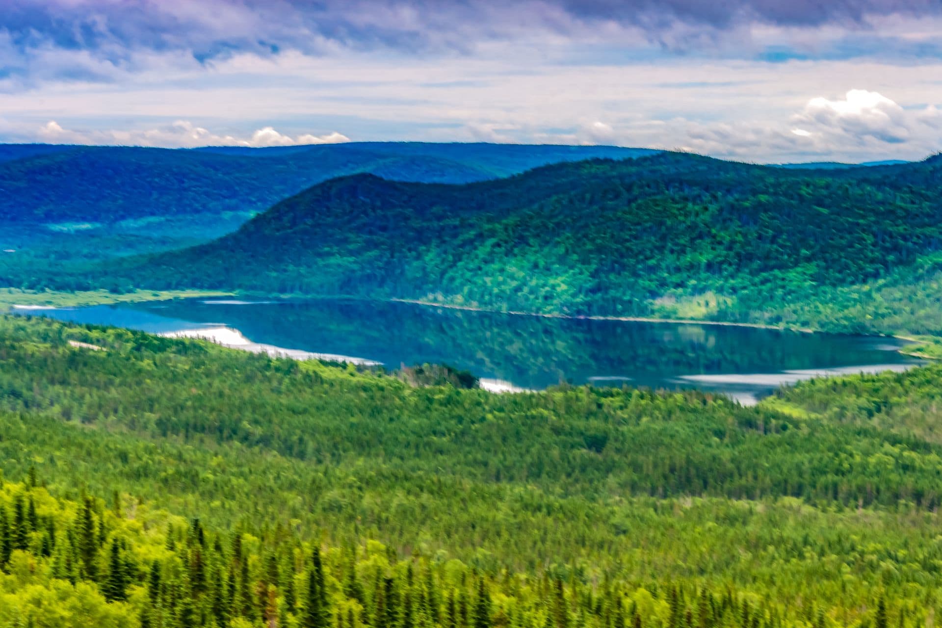 Newfoundland
