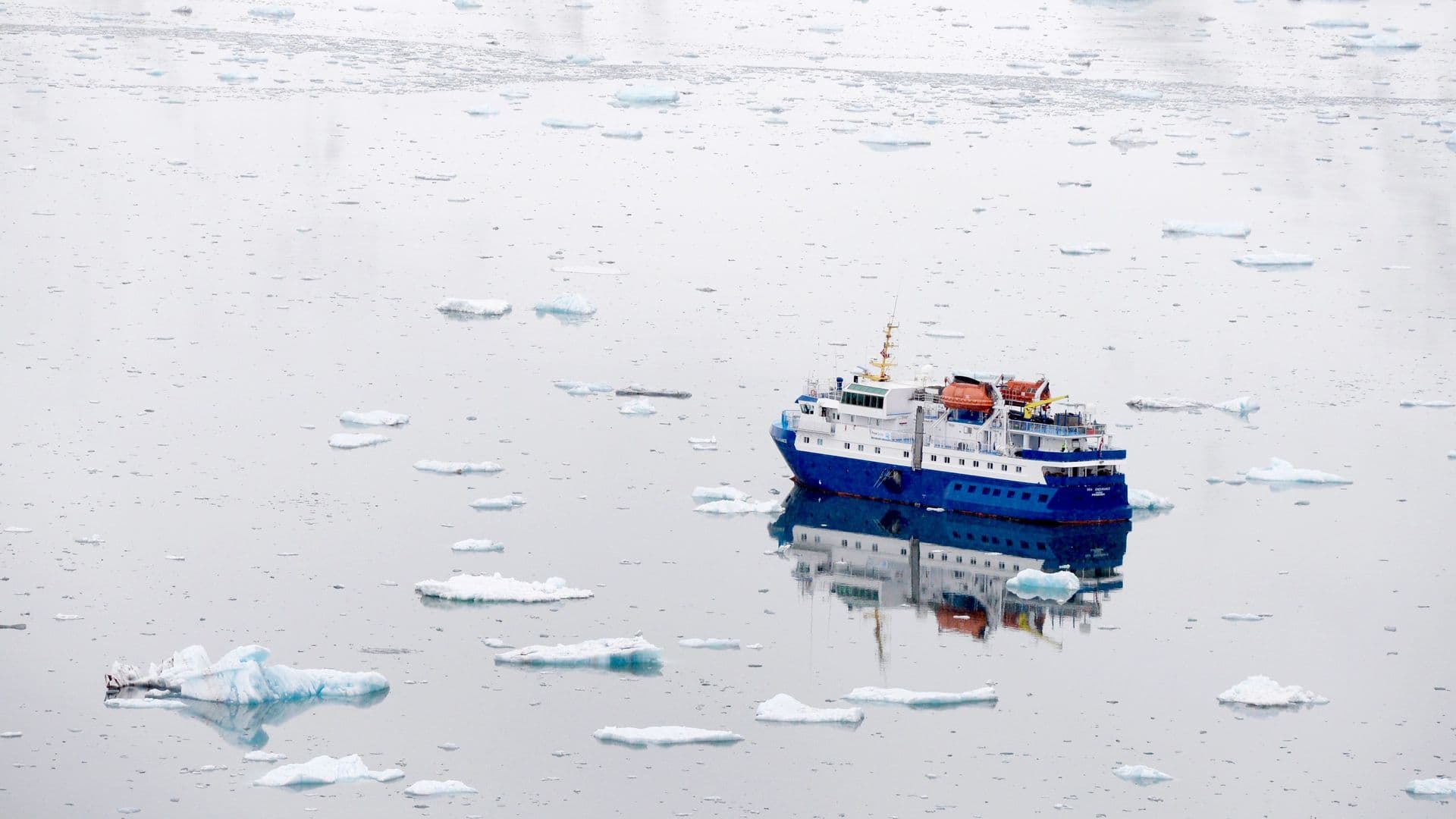 MS Quest - PolarQuest