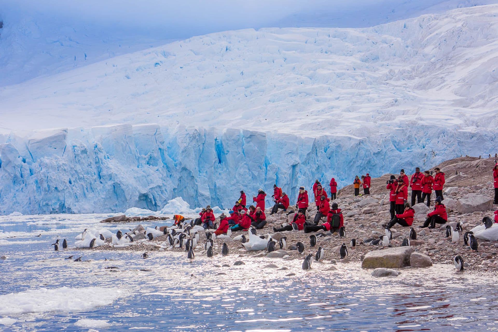 Antarctica Classic