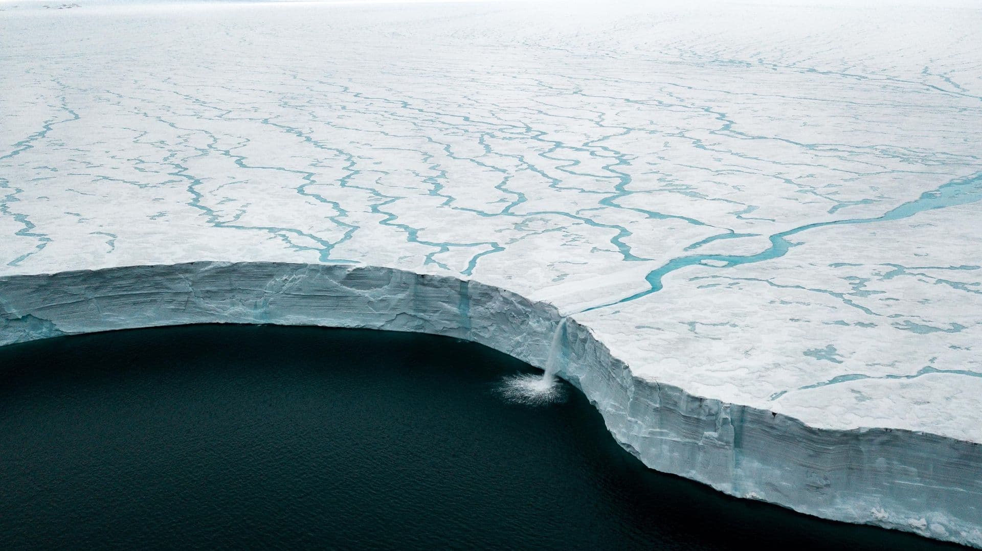 Vikingfjord Svalbard