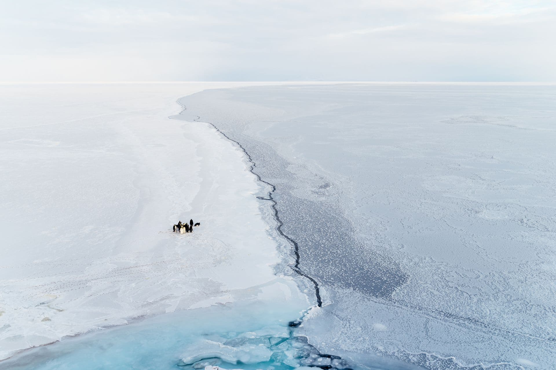 Aurora Expeditions in East Antarctica on the Douglas Mawson