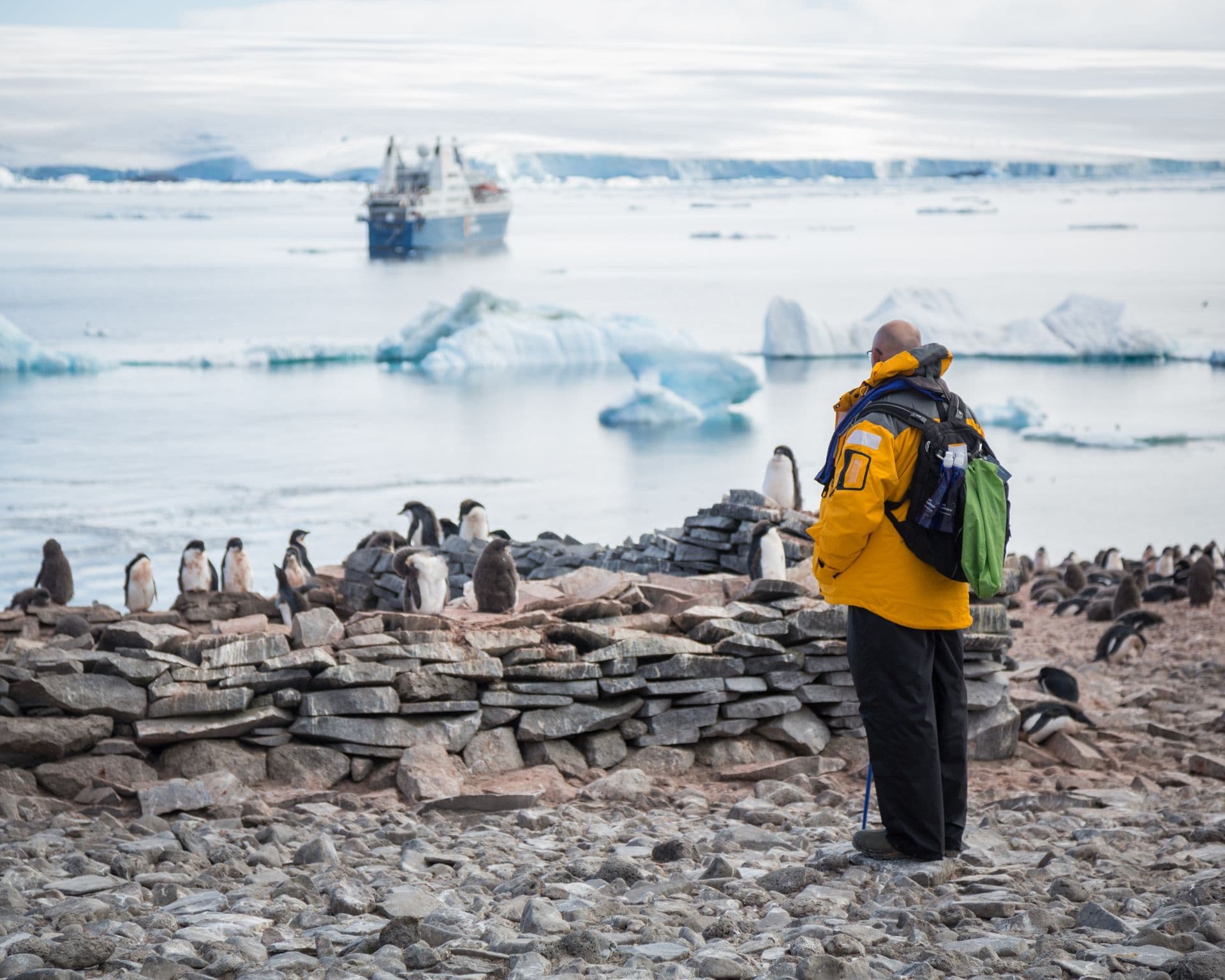 Quark Expeditions - Antarctica