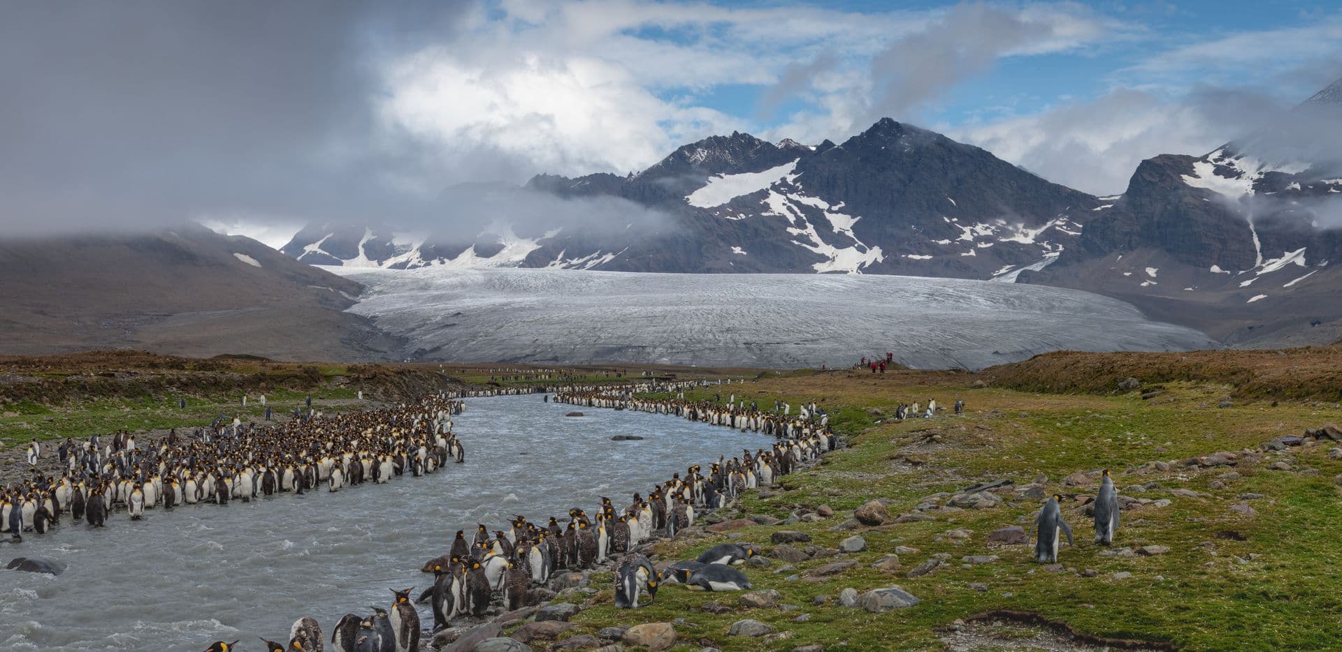Seaventure South Georgia