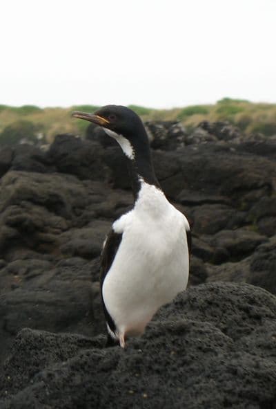 Polartours