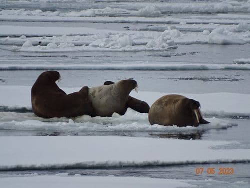 Photo Tour Atlas Review