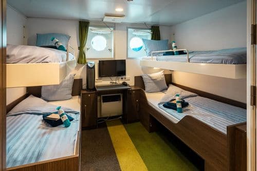Quad Cabin Ortelius