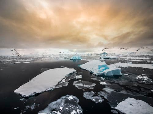 Oceanwide Expeditions Antarctica Basecamp