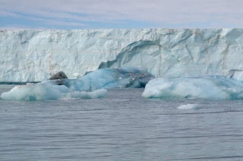 Negribreen