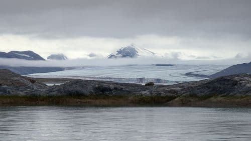 Ny London, Svalbard