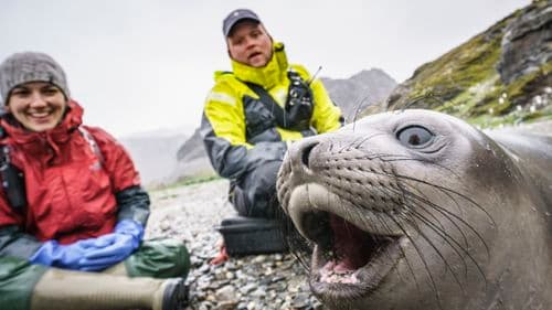 Oceanwide expeditions South Georgia Special