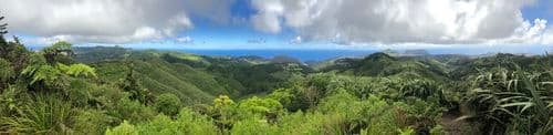 Diana's Peak on Saint Helena