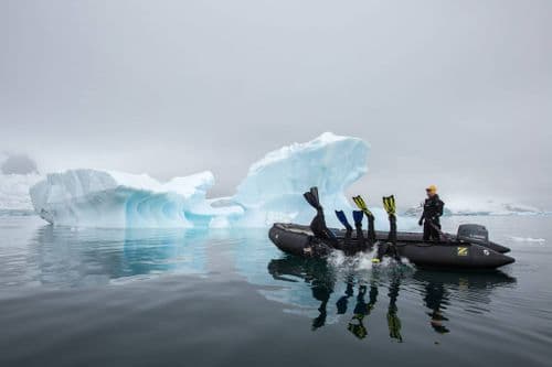 Polar Snorkeling