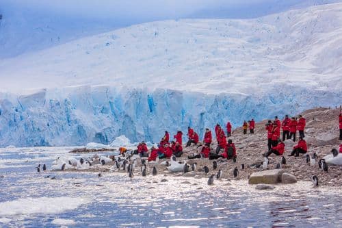 Antarctica Classic