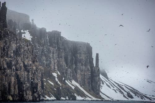 G Expedition Arctic Svalbard