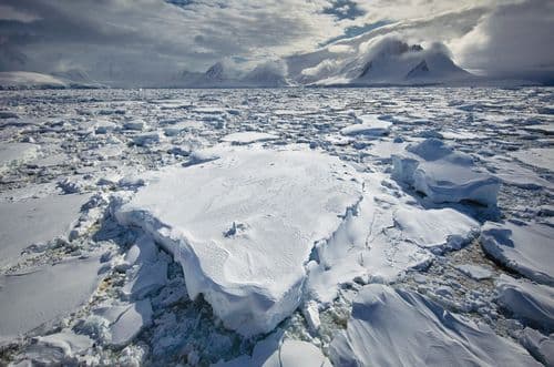 Aurora Expeditions Greg Mortimer Spirit of Antarctica