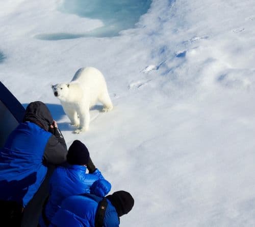 Aurora Expedition Antarctica